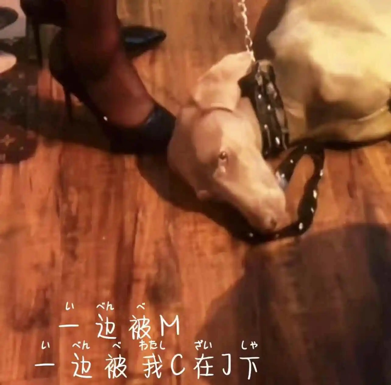 【西檬之家】小圈与大圈的区别是什么？字母圈新人如何理解BDSM