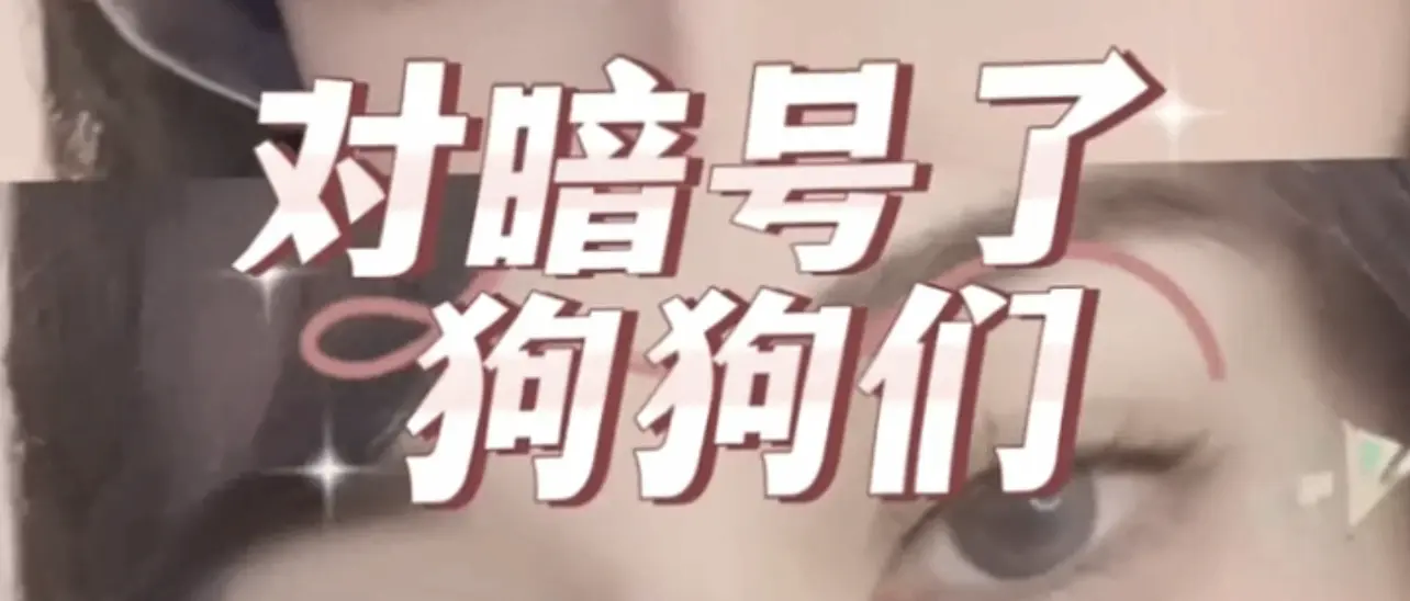 西檬之家-BDSM核心术语与安全入圈指南
