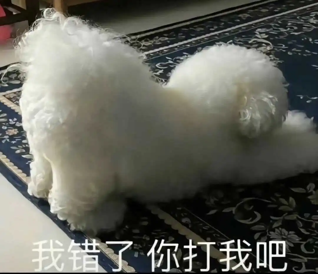 【西檬之家】大圈DOM是什么意思？BDSM字母圈权威指南