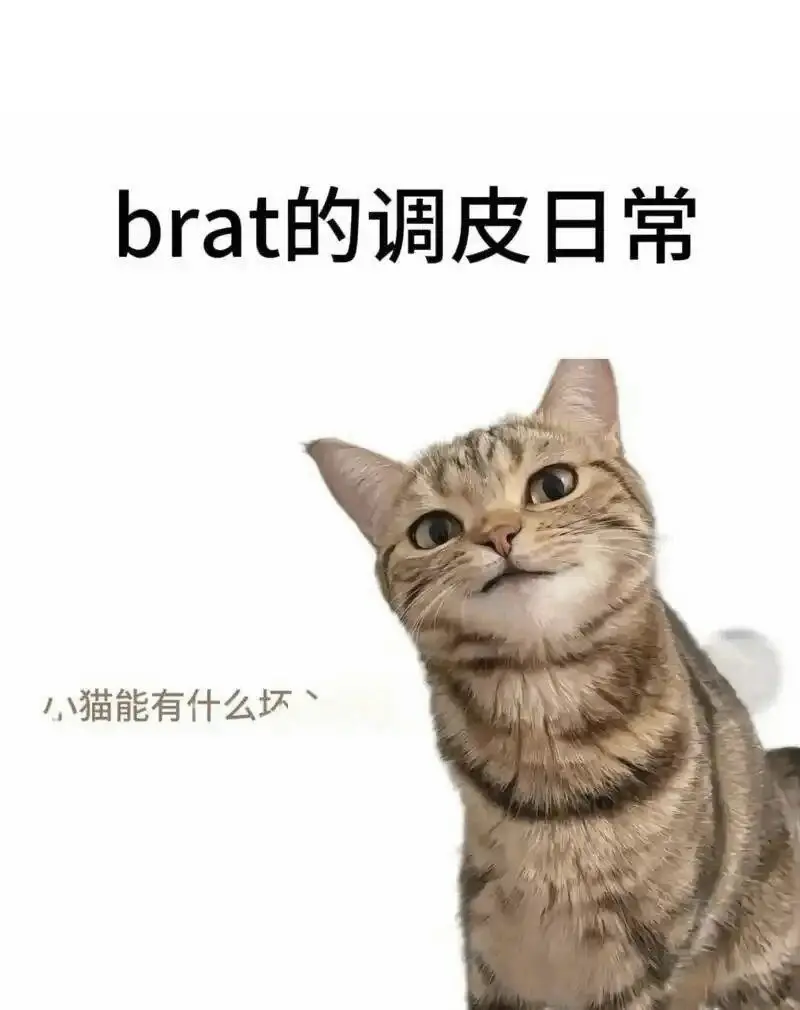 【西檬之家】管教：BDSM小圈新人的入门与核心安全指南
