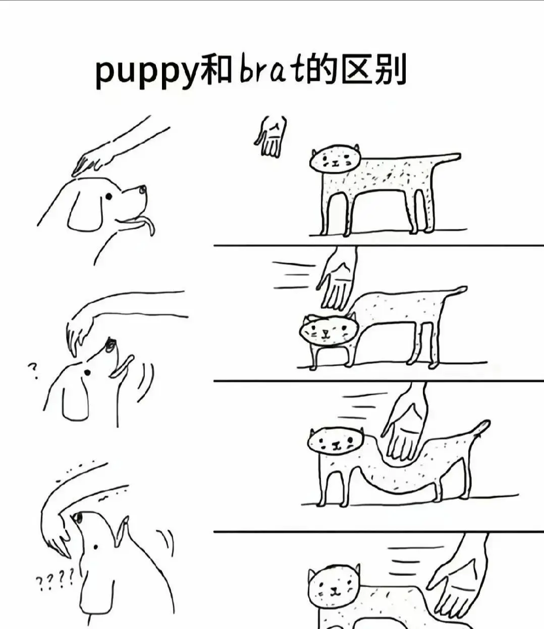 【西檬之家】字母圈新人如何正确入圈？安全与沟通是第一课