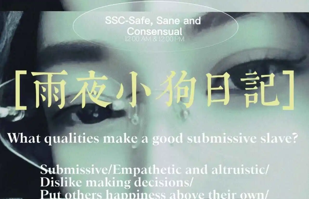 西檬之家-字母圈K8猫系是什么？BDSM新人必读